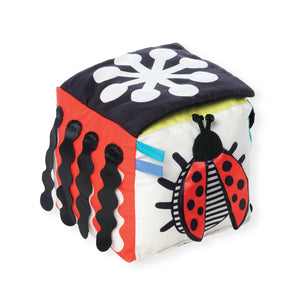 Manhattan Toy Wimmer Discovery Cube