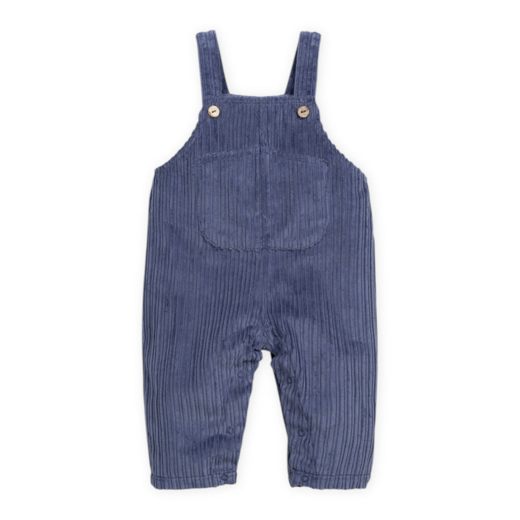 Play Up Baby Growing Roots Print l/s Tee & Corduroy Overalls Set ~ Blueberry