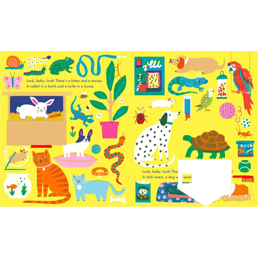 Look, Baby, Look! At Home