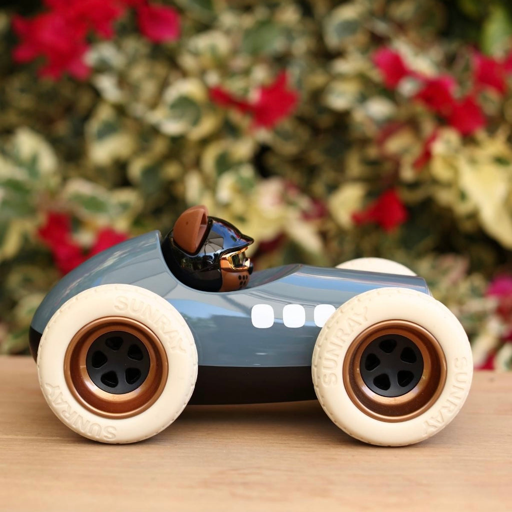 Playforever Egg Roadster Car