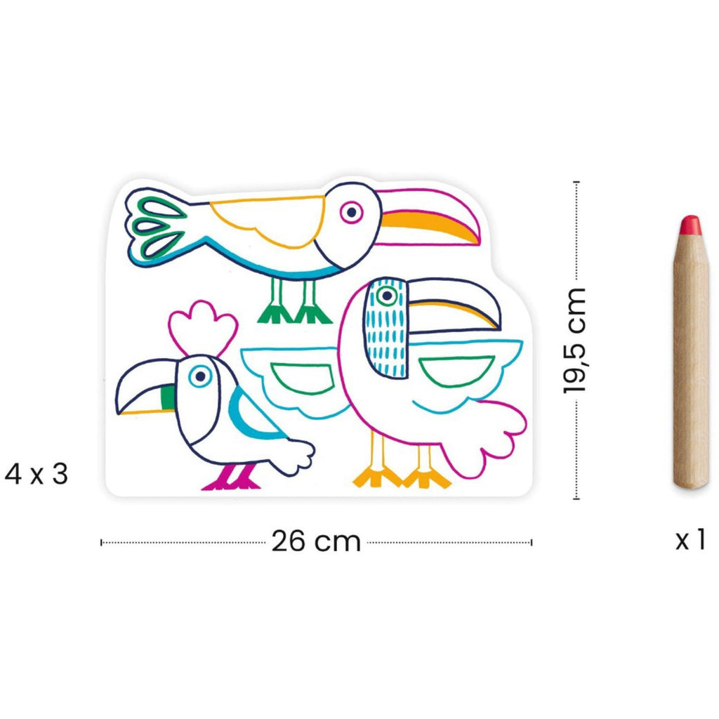 Djeco Wild Families Coloring Set