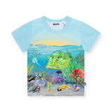 Molo Baby Easy s/s Tee & Simms Shorts Set ~ Tropic Sea/Sea Shell