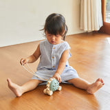 PlanToys Pull-Along Hedgehog