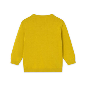 Mayoral Baby Boy Basic Knit Crewneck Sweater ~ Olive