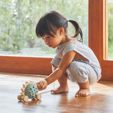 PlanToys Pull-Along Hedgehog