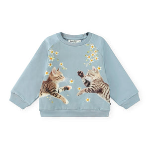 Molo Baby Disc Sweatshirt & Simeon Sweatpants Set ~ Kitten Star Dusty