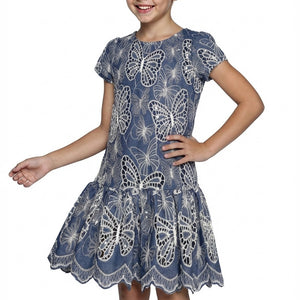 Hannah Banana Butterfly Embroidered Chambray Dress ~ Blue Multi