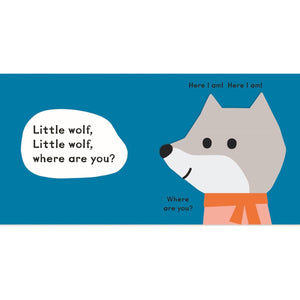 Baby Faces: Little Owl, Where Are You?