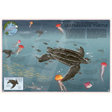 Atlas of Ocean Adventures
