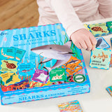 eeBoo Sharks & Friends Shiny Memory & Matching Game
