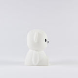 Miffy & Friends Bundle of Light Boris Mini Nightlight