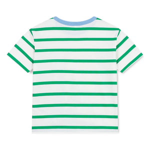 Petit Bateau Boys Striped s/s T-shirt w/ Trim ~ White/Green