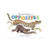 Hello Hello Opposites Board Book