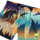 Molo Niko Swim Trunks ~ Faded Palmtrees