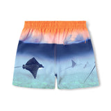 Molo Niko Swim Trunks ~ Into the Sunset