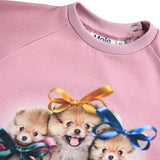 Molo Baby Disc Sweatshirt & Simeon Sweatpants Set ~ Ribbon Play