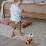 PlanToys Happy Puppy