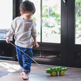 PlanToys Dancing Alligator