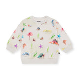 Molo Baby Disc Sweatshirt & Simeon Sweatpants Set ~ Hermit Crab