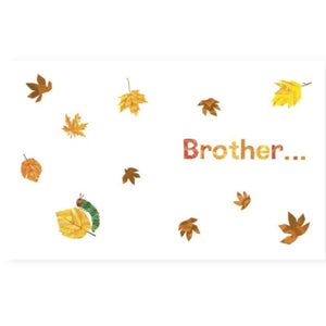 I Love My Brother with The Very Hungry Caterpillar