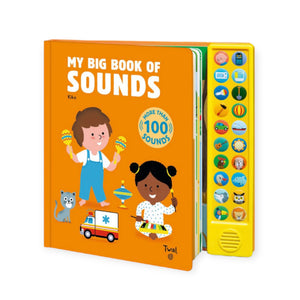 My Big Book Of Sounds