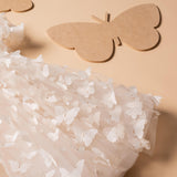 Rock Your Kid Butterfly Puff Sleeve Tulle Party Dress ~ Cream