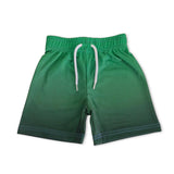 Mish Boys Mesh Shorts ~ Green Gradient