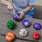 PlanToys 5 Colors Veggie set
