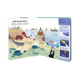 Do You Know? Oceans and Marine Life