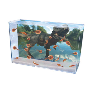 Toysmith Smithsonian Prehistoric Sea Monsters Set