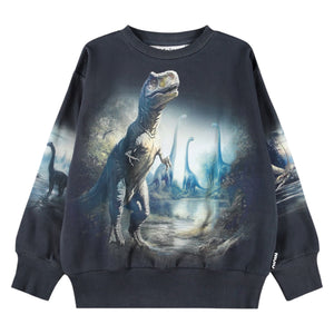 Molo Mattis Sweatshirt ~ Twilight Dinos