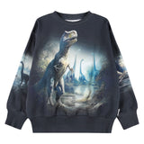 Molo Mattis Sweatshirt ~ Twilight Dinos