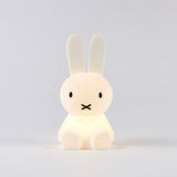 Miffy & Friends Bundle of Light Miffy Mini Nightlight