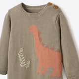 Elegant Baby Knit Romper ~ Dinosaur