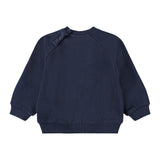 Molo Baby Disc Sweatshirt & Simeon Sweatpants Set ~  Fancy Kittens
