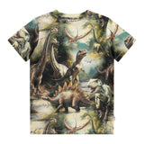 Molo Ralphie s/s T-Shirt ~ Dino Harmony