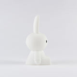 Miffy & Friends Bundle of Light Miffy Mini Nightlight