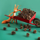 Moulin Roty Ecole Des Loisirs Squirrel Plush Toy