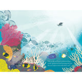 Over and Under the Coral Reef