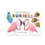 Hello Hello Numbers Board Book