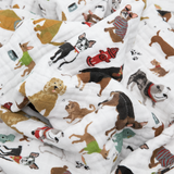 Little Unicorn Cotton Muslin Quilt ~ Woof