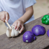 PlanToys 5 Colors Veggie set