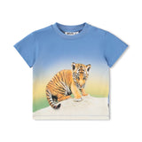 Molo Baby Enzo s/s T-shirt & Sammy Soft Pants Set ~ Tiger Cub/Blue Tide