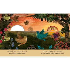 Family: A Peek-Through Picture Book