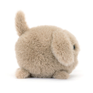 Jellycat Caboodle Puppy
