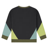 Babyface Boys Colorblock Sweatshirt ~ Antra