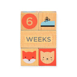 Petit Collage Wooden Baby Milestone Blocks