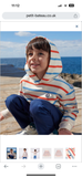 Petit Bateau Boys Multi Color Striped Hoodie ~ Cream Multi