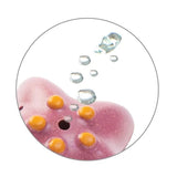 PlanToys Sea Life Bath Set