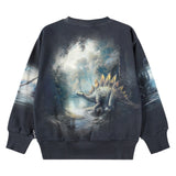 Molo Mattis Sweatshirt ~ Twilight Dinos